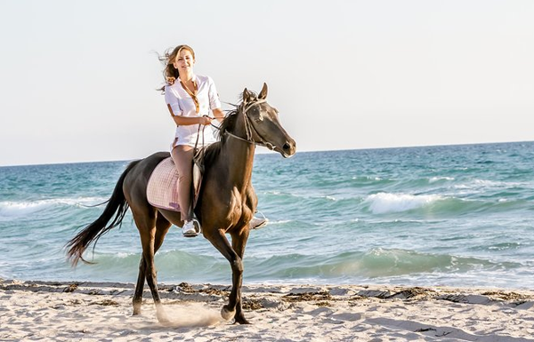 Horse riding or Camel riding - 2 hours