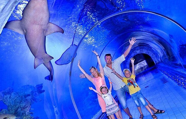 Hurghada Grand Aquarium Ticket
