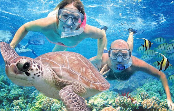 El Gouna Deluxe Snorkeling